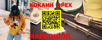 2c-b Кингисепп